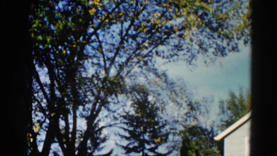 8mm home movie frame circa 1962, Illinois — tree canopy framing blue sky with a residential roofline and building corner visible at lower right.
