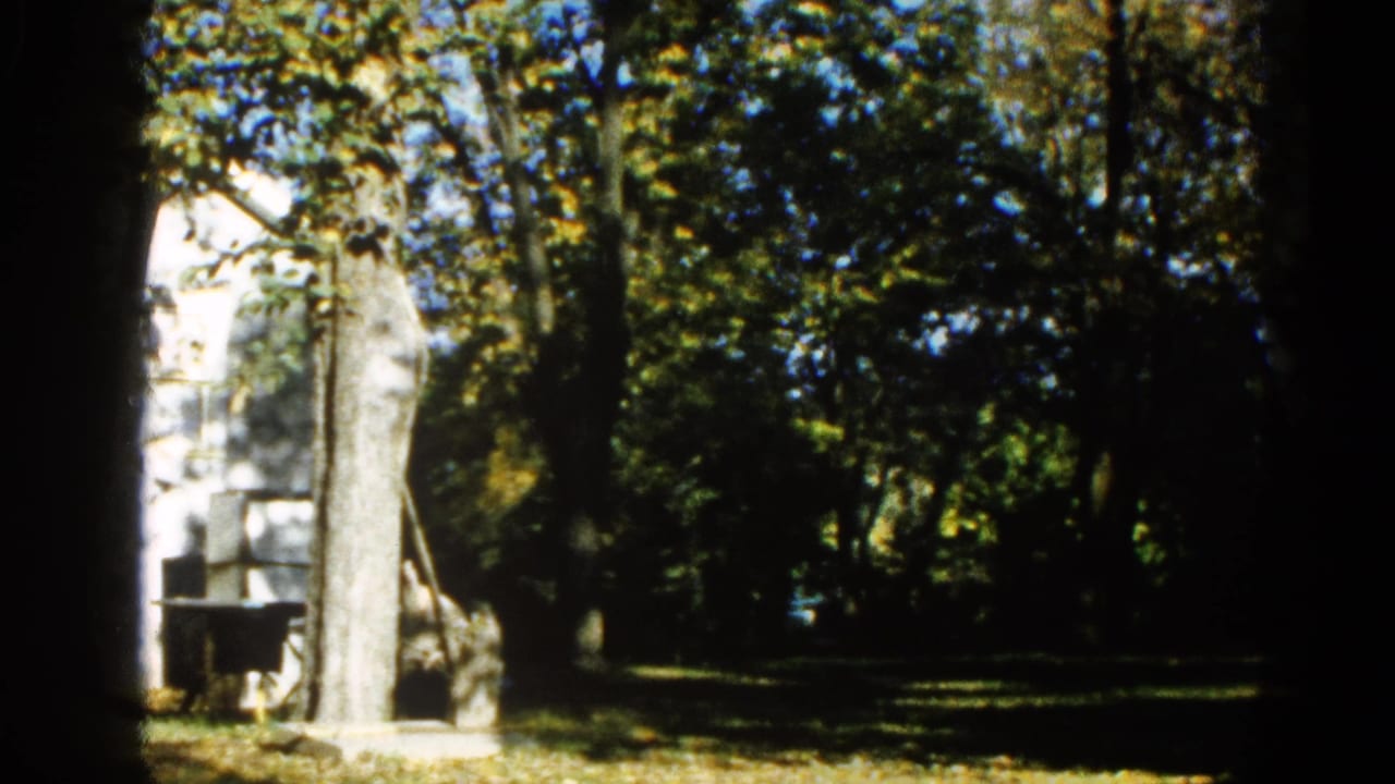 8mm home movie frame from 1962 Illinois showing a sunlit lawn and tree line, with a white structure partially obscured by a large foreground tree trunk.