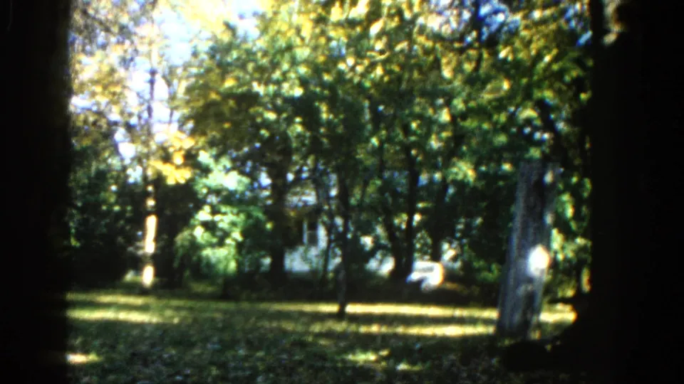 Final frame of 1962 Illinois 8mm clip showing a tree-lined lawn with yellow-turning foliage and a white structure at the far right, consistent with a residential or park setting.