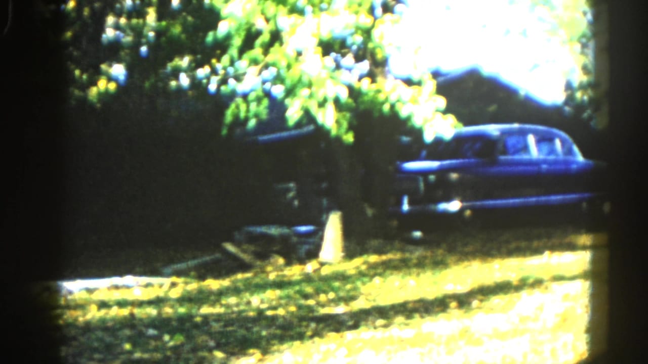Dark-blue mid-century American sedan parked in a sunlit suburban yard with mature deciduous trees overhead.