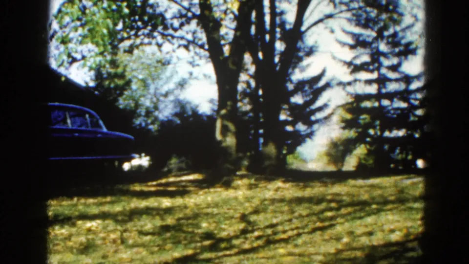 Mature deciduous trees and sunlit lawn in an Illinois suburb, dark-blue mid-century sedan at the left edge of frame; 8mm home movie, c. 1962.
