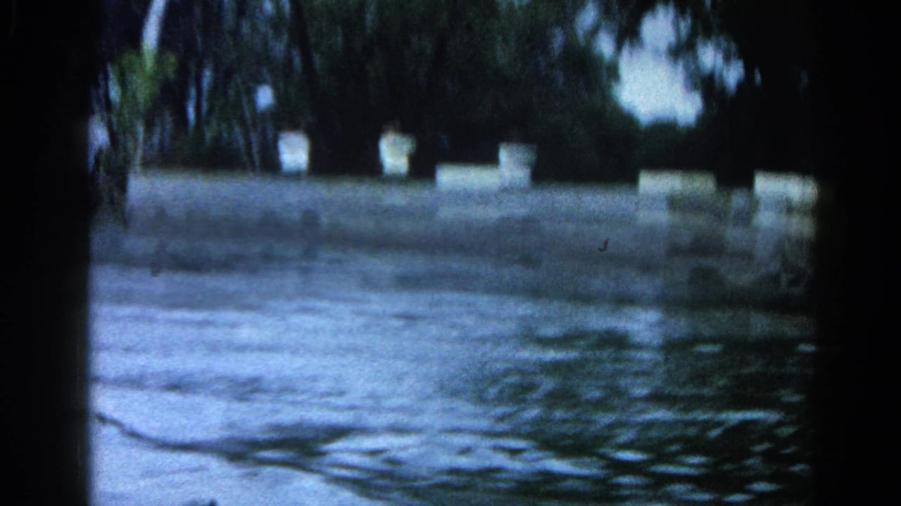 Lake water in foreground; concrete dock with several white bollards more prominent at center; tree-lined shore behind; 8mm grain visible.