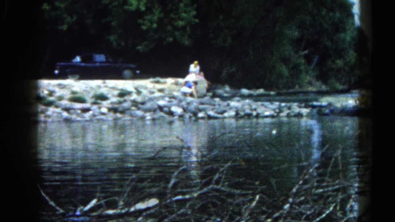 Person in light clothing seated on rocky riverbank; dark vintage car behind; dense treeline; foreground branches in water.