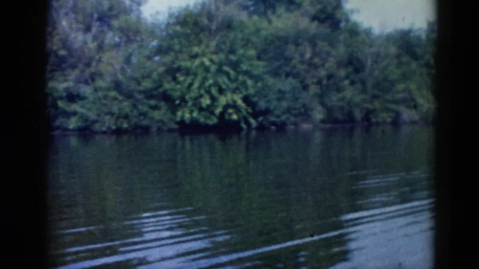 Pan or cutaway shot of a calm Midwest lake with lush summer foliage along the far bank, consistent with an Illinois setting, circa 1962.