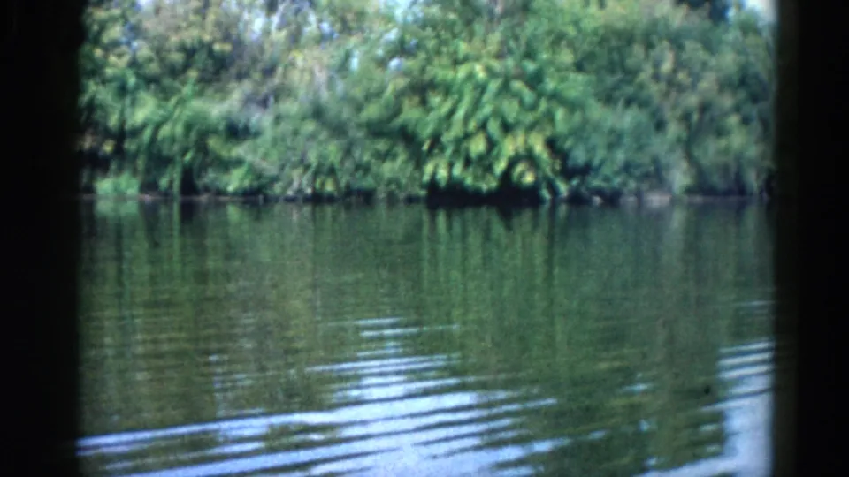 Tighter shot of lake surface ripples and dense summer foliage on the far bank, likely a pan continuation of the same Illinois lake sequence, circa 1962.