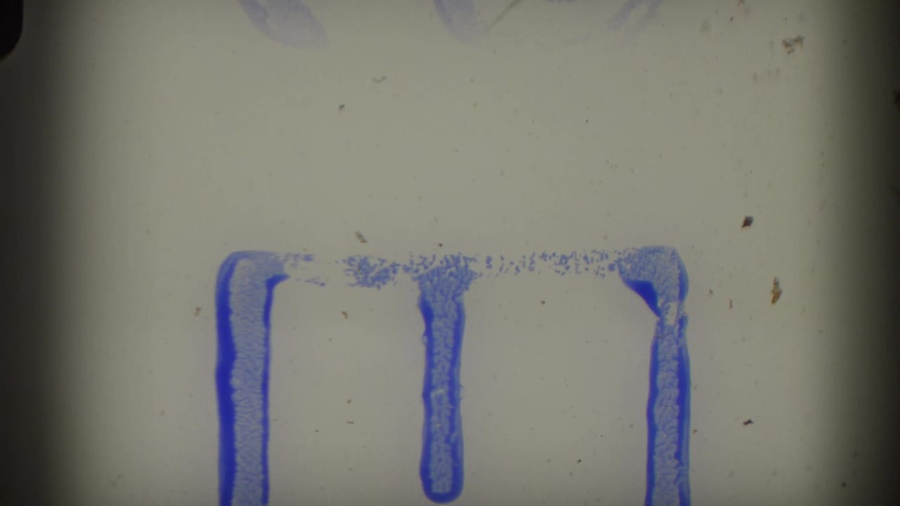 Damaged film frame showing blue ink bracket markings on gray film base, no image content visible.