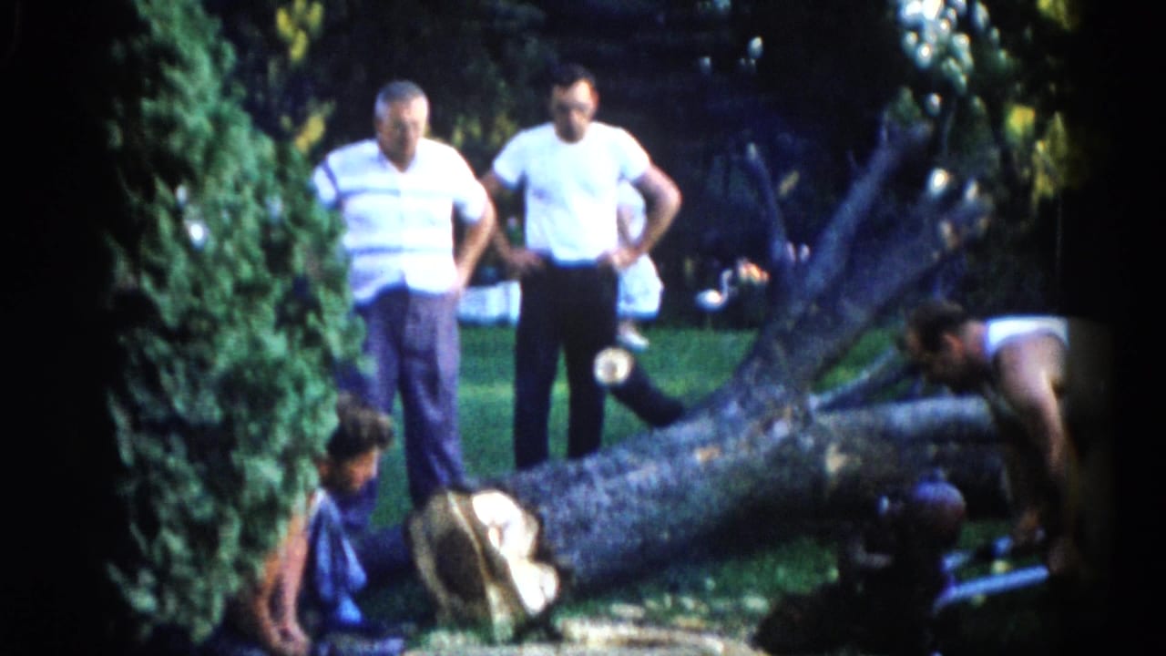 Two men in summer clothes stand over a large fallen tree trunk on a green lawn; a smaller figure crouches at left.