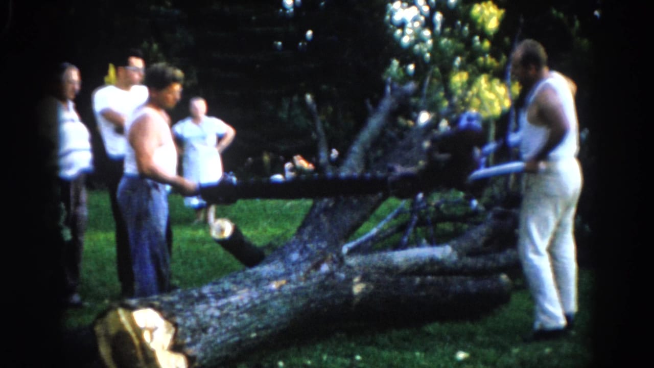 Three men around a large fallen tree trunk; one bends toward the chainsaw area while two observe; a woman stands in the background.