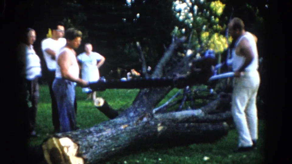 Men work on a massive fallen tree trunk in a suburban backyard, one bending to operate the chainsaw while two others watch; a woman is visible in the background, Illinois circa 1962.