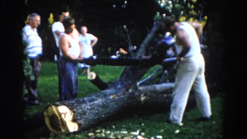 Two men in white shirts work on a large fallen tree trunk on a suburban lawn while onlookers watch in the background, Illinois circa 1962.