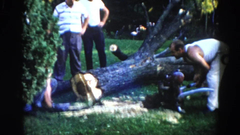 Three adult men work and observe around a large fallen tree trunk in a suburban Illinois backyard, circa 1962, captured on 8mm film.
