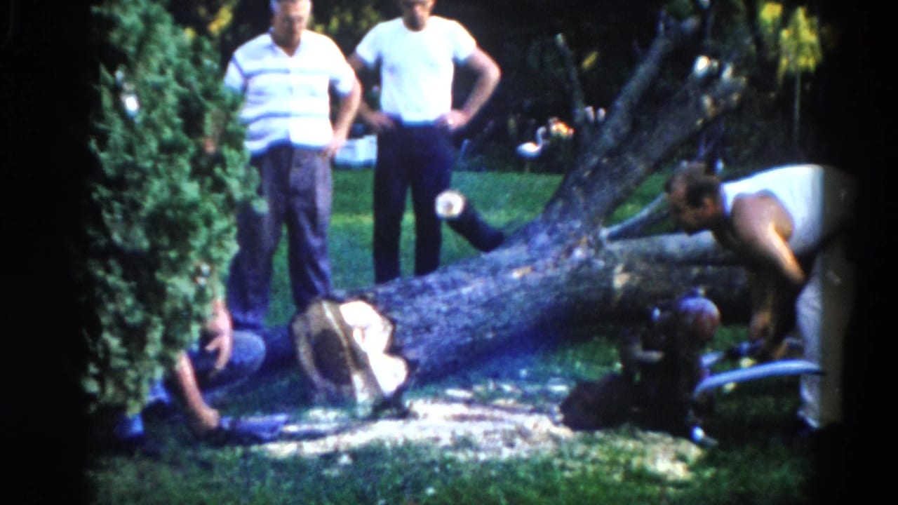 Two men standing watching a third bent over working on a large fallen tree in a backyard.