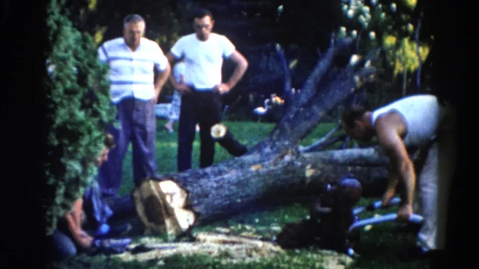 A worker bends over a felled tree trunk as two men watch in an Illinois backyard, circa 1962; 8mm home movie film.