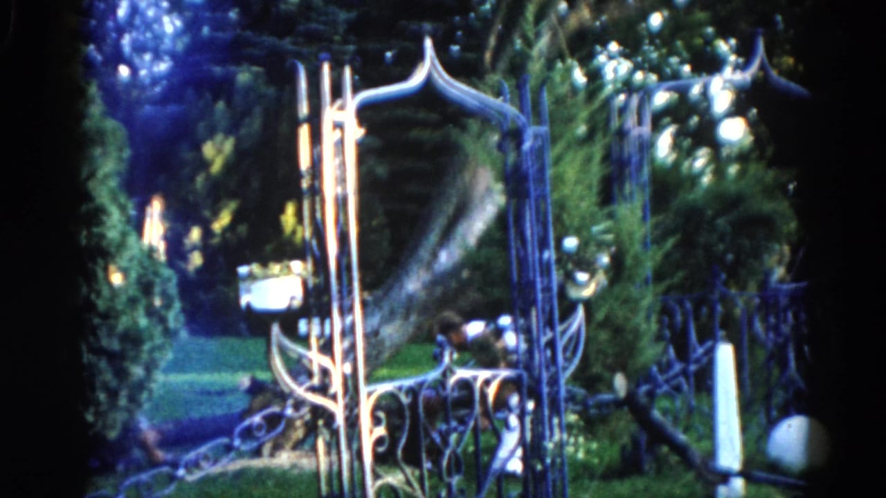 Ornate decorative metal gate in foreground, fallen tree trunk and figures partially visible in lush green backyard beyond