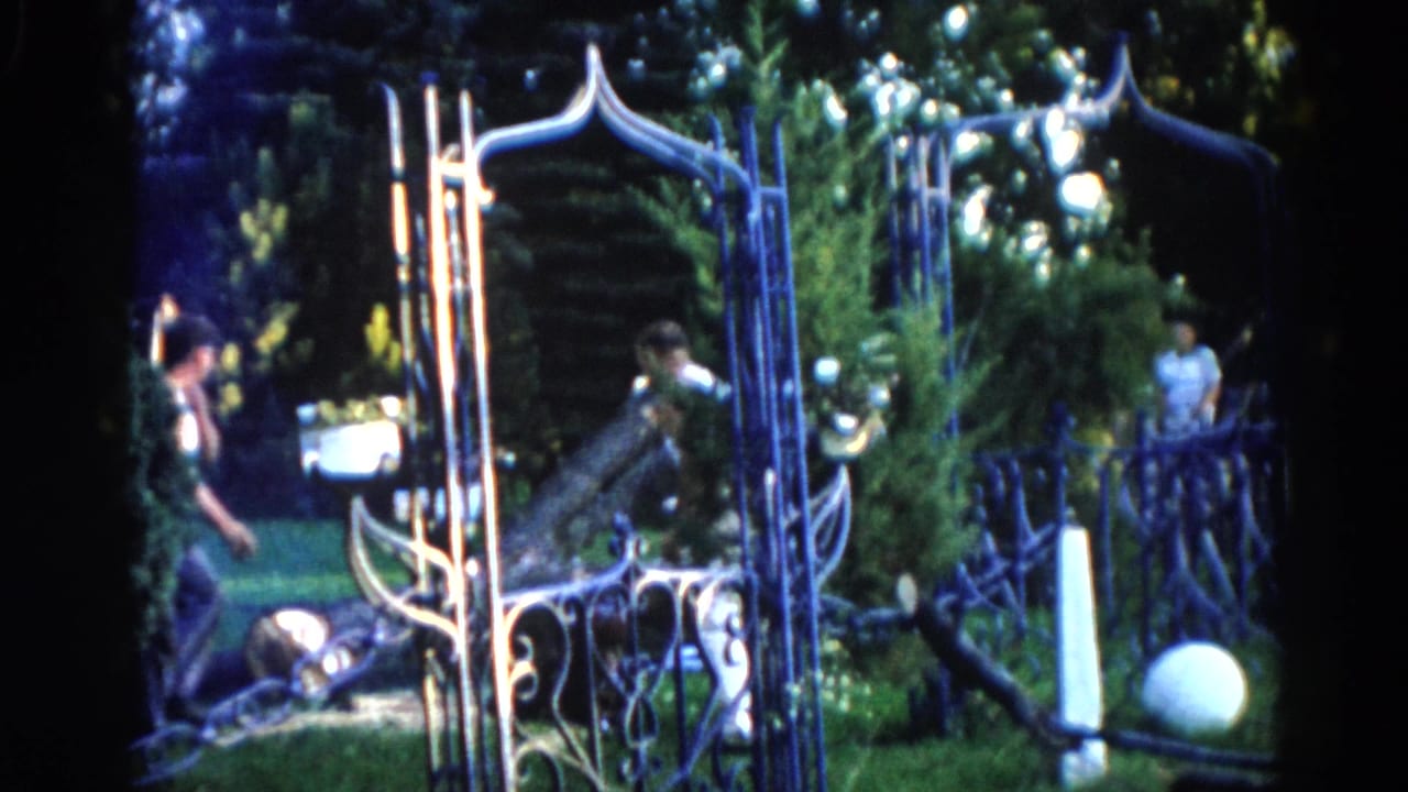 Ornate metal garden gate in foreground, figure with raised arms visible in green backyard beyond, fallen tree partially visible