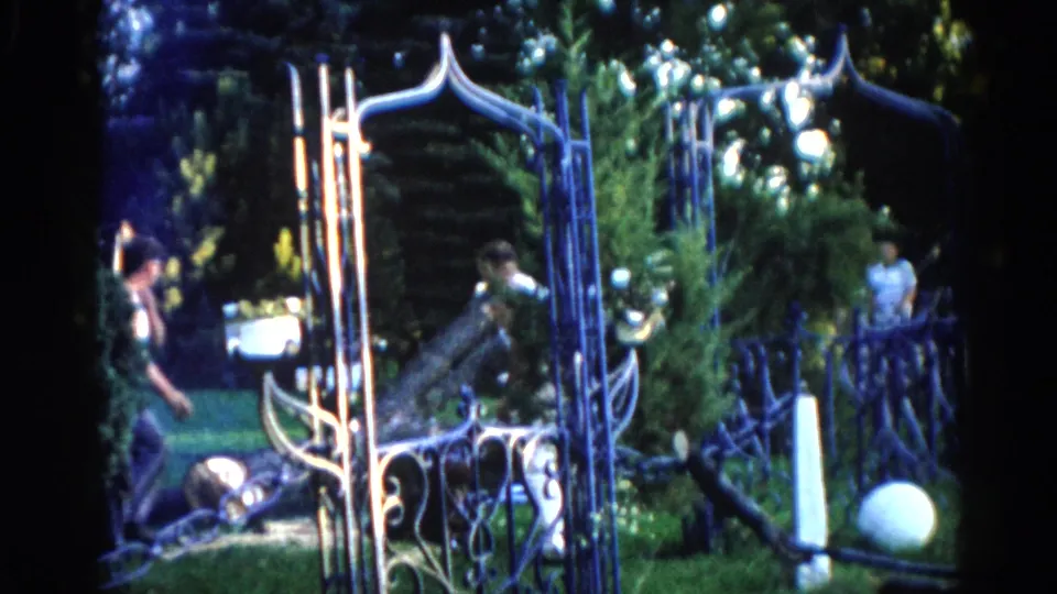 8mm home-movie frame circa 1962; figure with raised arms visible beyond ornate iron gate in lush Illinois backyard during tree removal