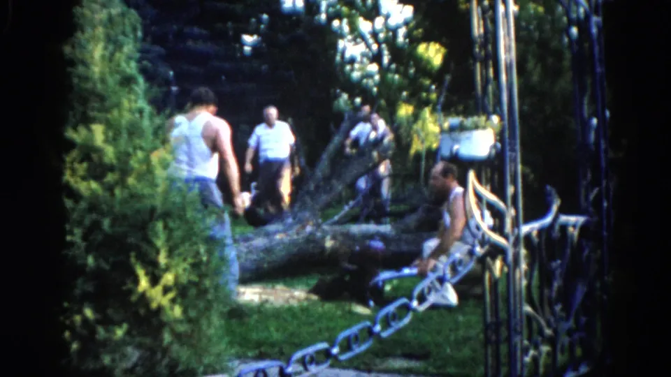 8mm home-movie frame circa 1962, Illinois; two men in white undershirts and light shirts clearing a massive fallen tree, ornate iron gate and chain visible