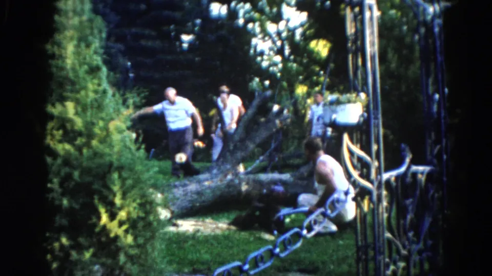 8mm home-movie frame circa 1962, Illinois; multiple men in summer casual clothing clearing a large fallen tree with chain, ornate gate and lush garden visible