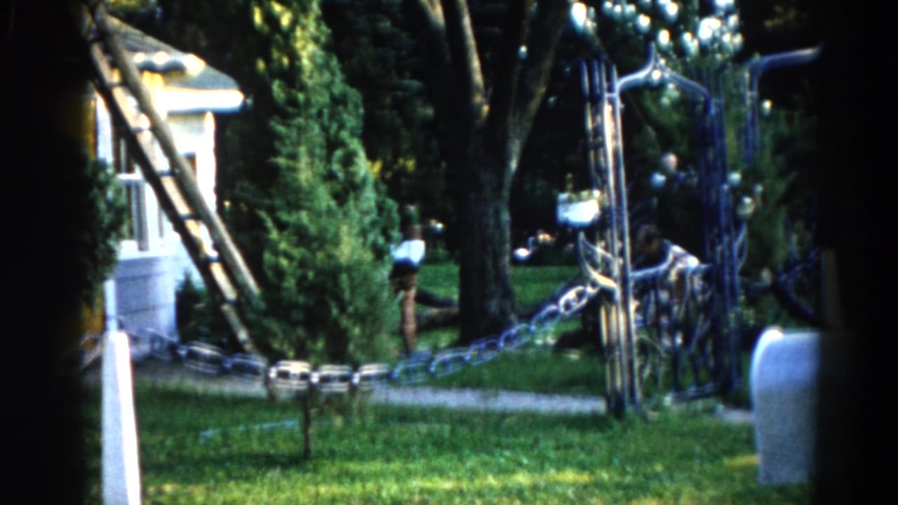 Suburban backyard with decorative chain fence in foreground; mature trees, a house, and a wooden ladder visible in background.