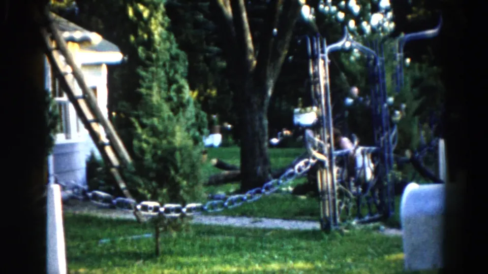 Two men at work near a large tree in a 1962 Illinois suburban yard; one standing, one crouching at the base; chain fence and wooden ladder visible.