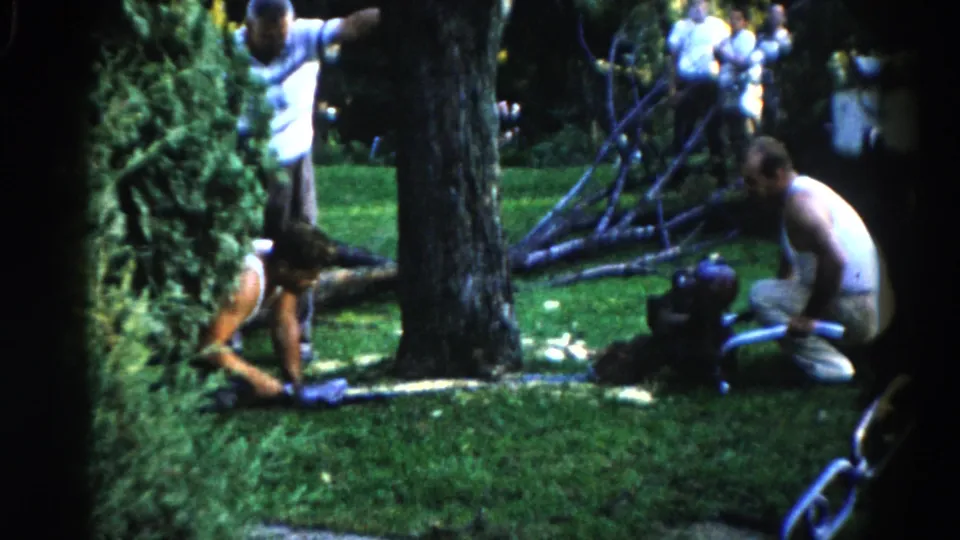 Two men near a tree in a 1960s Illinois suburban yard; one crouches at the base while another stands alongside; chain fence and house exterior visible.
