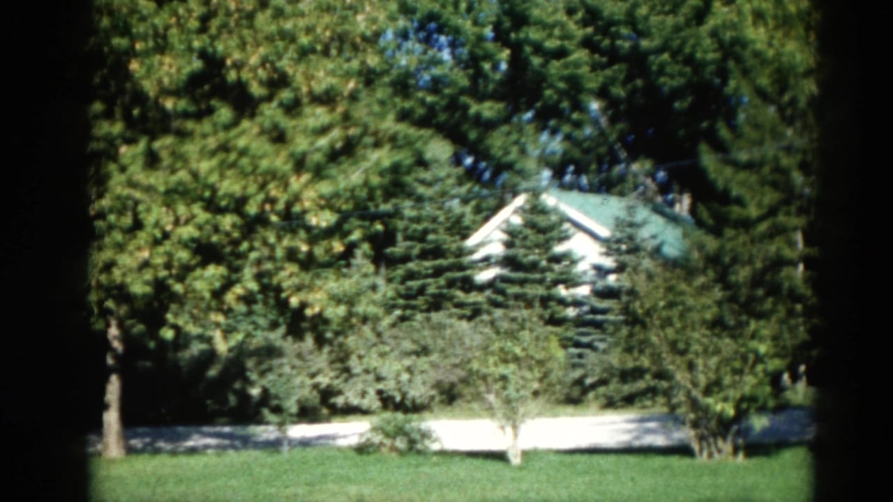 Wide 8mm home-movie shot of a sunlit suburban yard, likely Illinois, c. 1962 — mature trees, manicured lawn, white house with green roof.