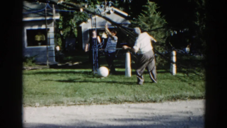 Man trims a backyard tree in suburban Illinois, c.1962; white ball on green lawn, gray-sided house and white cylindrical fence posts visible.