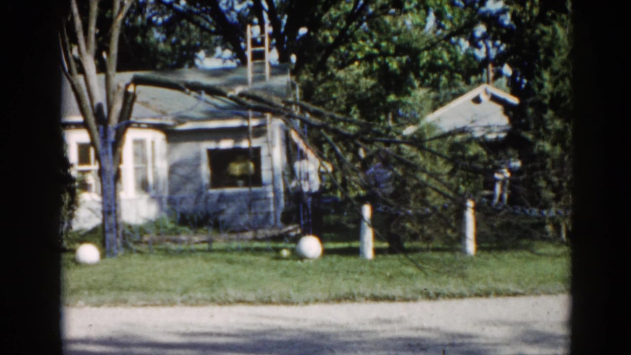 Suburban yard with large fallen tree limb resting across house and lawn, gravel path in foreground, white ball on grass.