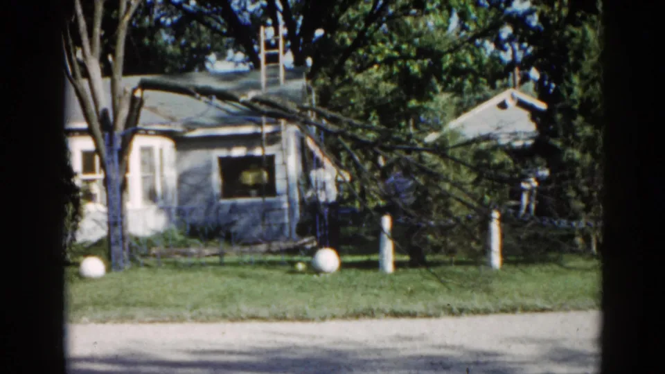 Establishing shot of a suburban Illinois yard, c. 1962, showing a large fallen tree limb draped across a modest single-story house and lawn, shot on 8mm film.