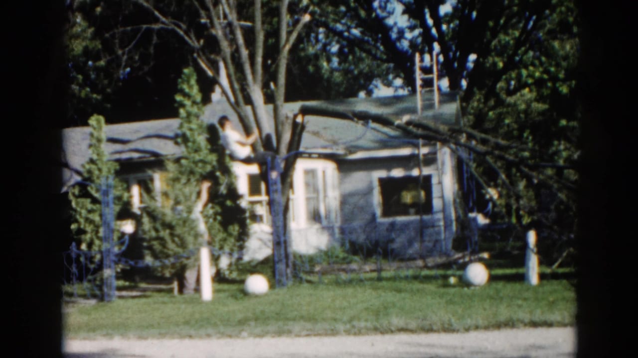 Man near a large tree leaning against a suburban ranch house; wooden extension ladder visible against trunk, green lawn in foreground.