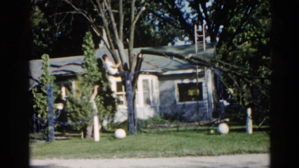 8mm home movie, c.1962, Illinois: a man stands near a large tree already leaning against a grey ranch-style house, with an extension ladder against the trunk.