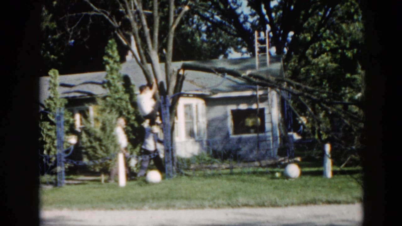 Tree resting against suburban house roofline; man in light shirt visible in yard with wooden ladder nearby.