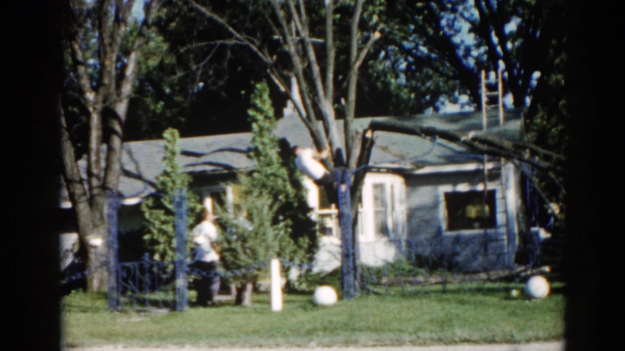 Figure ascending a large tree beside a single-story Illinois suburban house, with another figure watching below, 8mm film circa 1962.