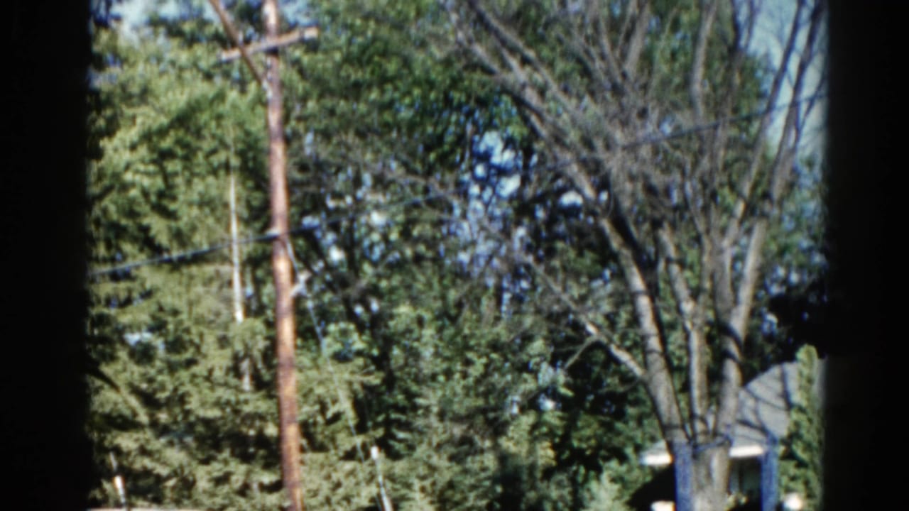Tall wooden utility pole rising above leafy summer trees; partial house roofline visible at lower left; 8mm home movie.