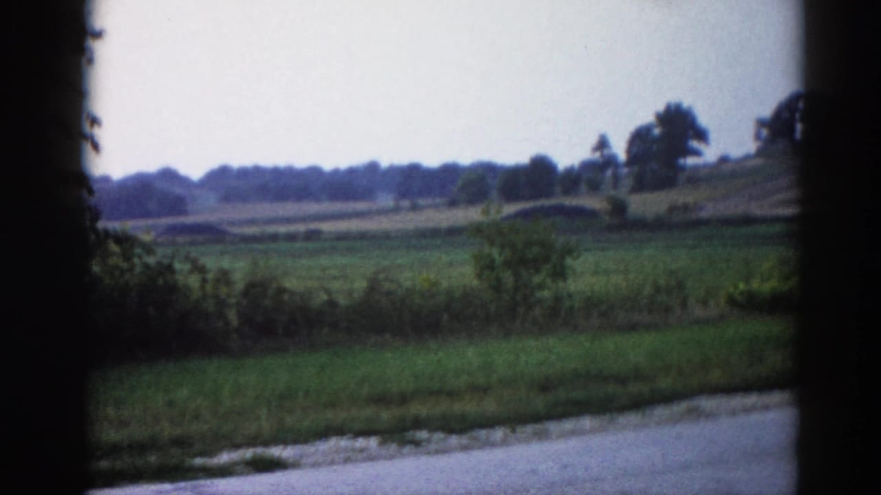 Flat Illinois farmland stretching to a distant treeline under an overcast sky, with a road at the lower frame edge.