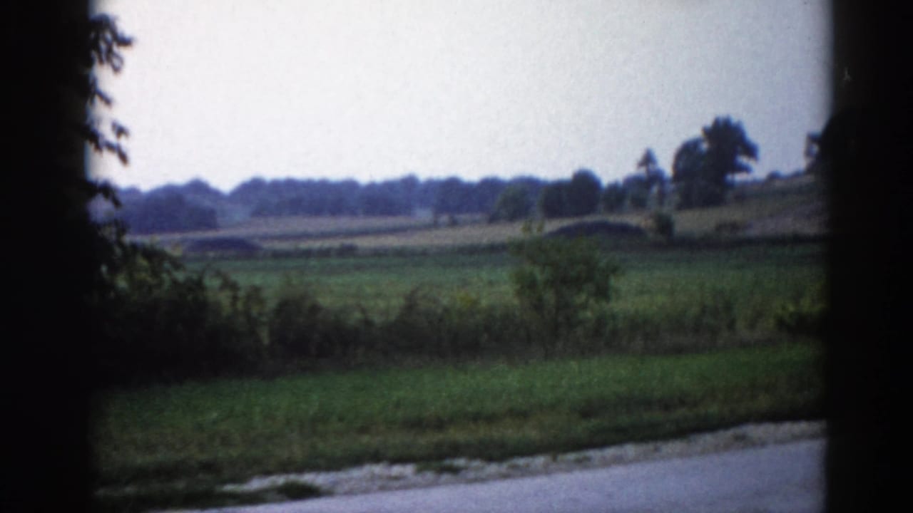 Rural countryside seen from a moving car, flat green fields and a distant treeline, country road in foreground, dark car door frame silhouetted at left.