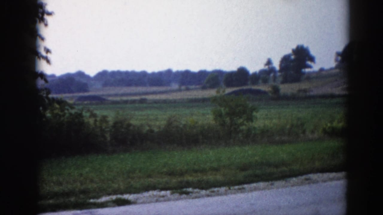 8mm home movie, Illinois 1962 — flat agricultural fields and a continuous treeline viewed through a car window, roadside vegetation at right edge under pale sky.
