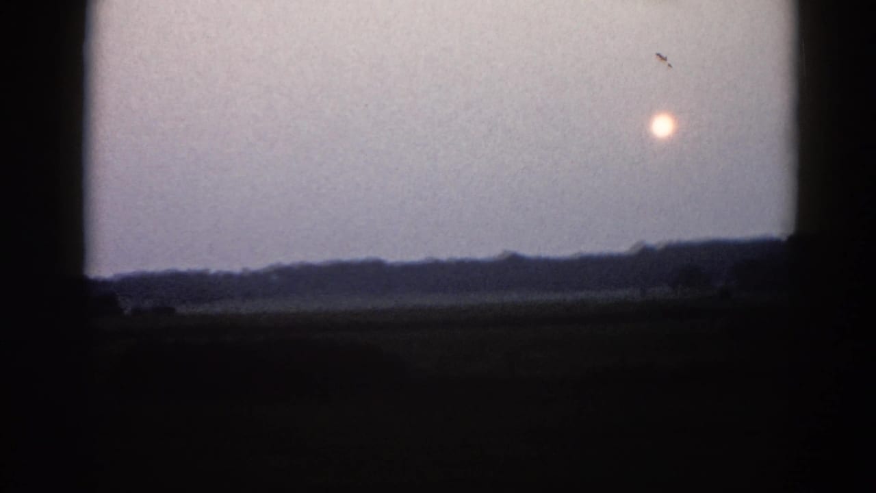 Hazy low sun over a flat treeline, shot through 8mm film frame with dark vignetting borders.
