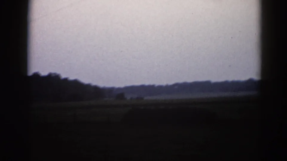 Camera tilts skyward in 1962 Illinois 8mm footage; tree line reduced to a thin dark strip at bottom while pale sky dominates with visible film grain.