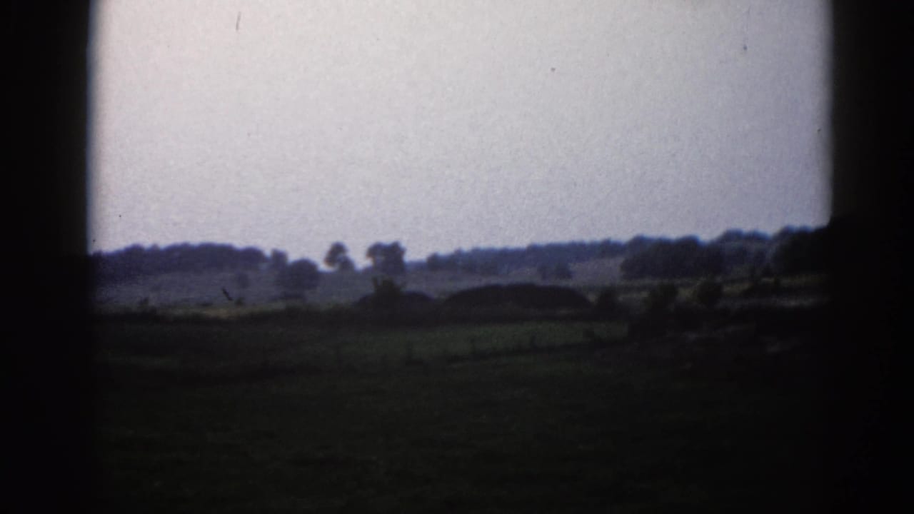 Wide rural fields under a pale overcast sky with a line of trees at the horizon and dark film-edge vignetting.