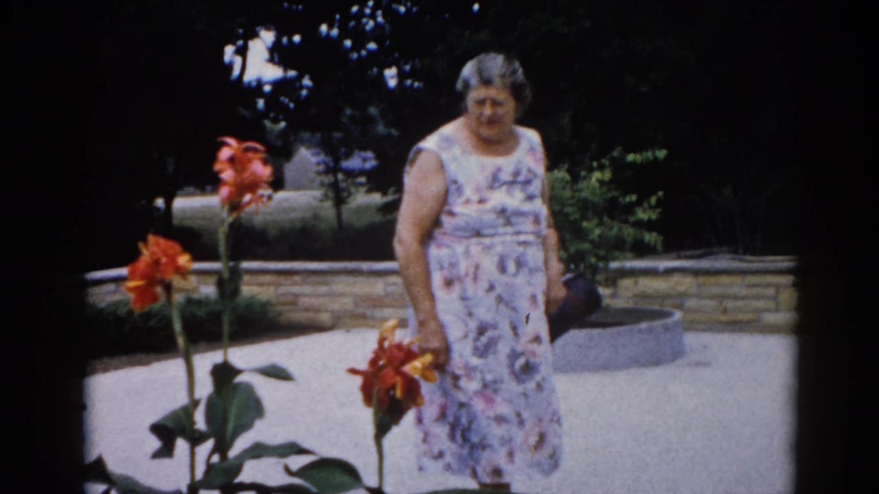 Older woman in a sleeveless floral dress holds orange flowers beside tall canna lilies in a manicured garden, Illinois circa 1962, 8mm film.