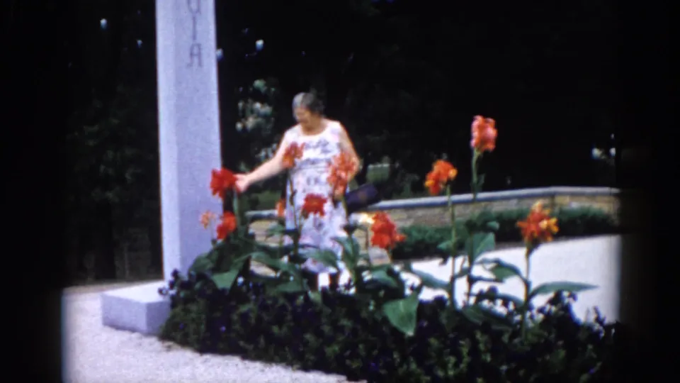 1960s Illinois cemetery: older woman in white print dress reaching to tend orange canna lilies beside a tall white memorial pillar, 8mm home movie grain visible.