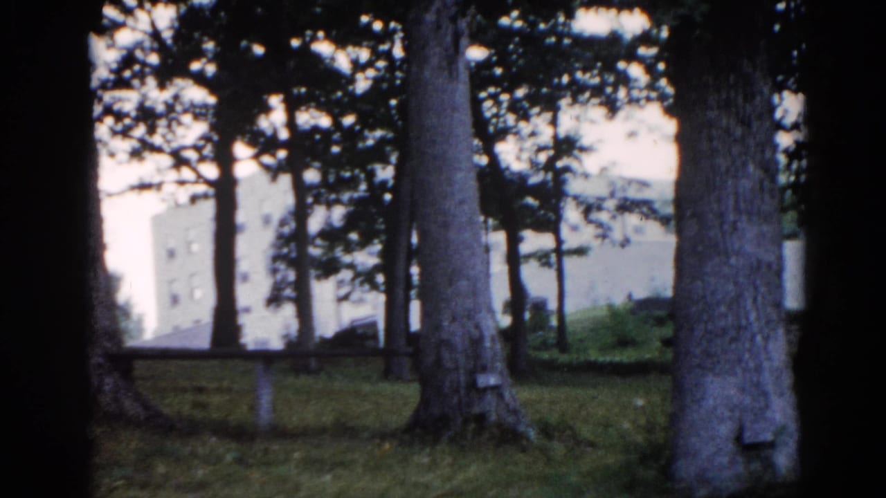 Close view of mature park trees with a white or cream building partially visible through the canopy, Illinois park, circa 1962.