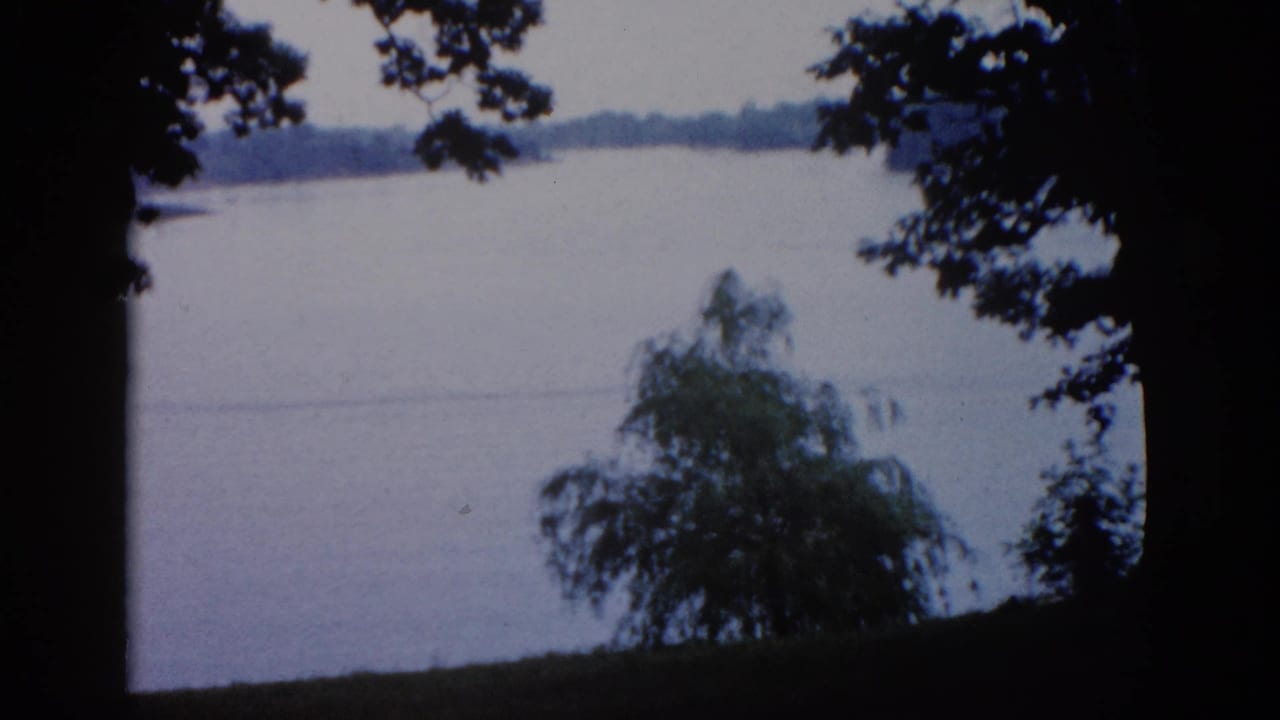 Lake framed by dark tree silhouettes, with a drooping midground tree and pale overcast sky, from an 8mm home movie.