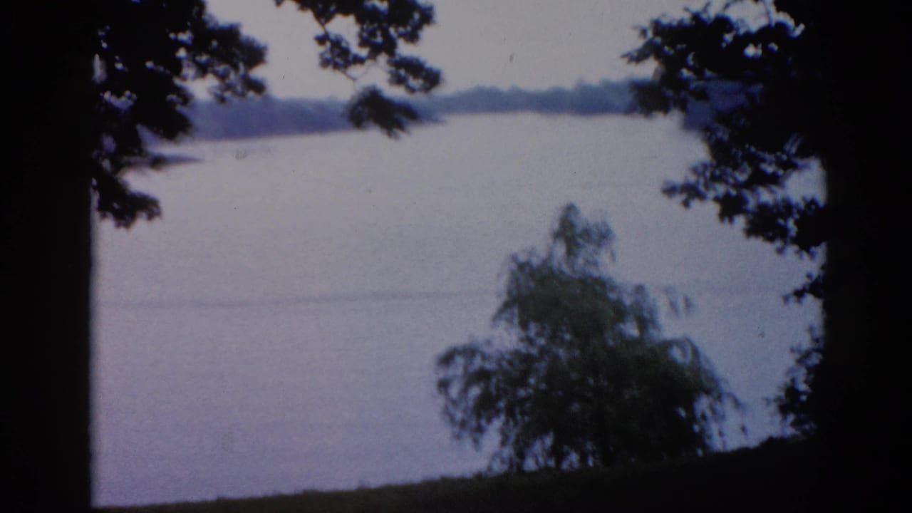 8mm home movie frame from 1962 Illinois, nearly identical lakeside composition with silhouetted trees and calm water under a hazy overcast sky.