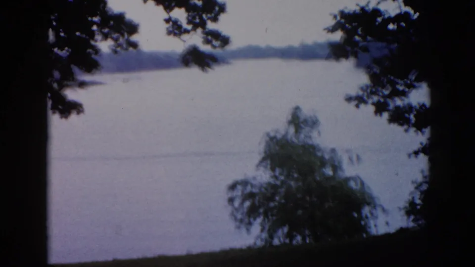 8mm home movie frame from 1962 Illinois, nearly identical lakeside composition with silhouetted trees and calm water under a hazy overcast sky.