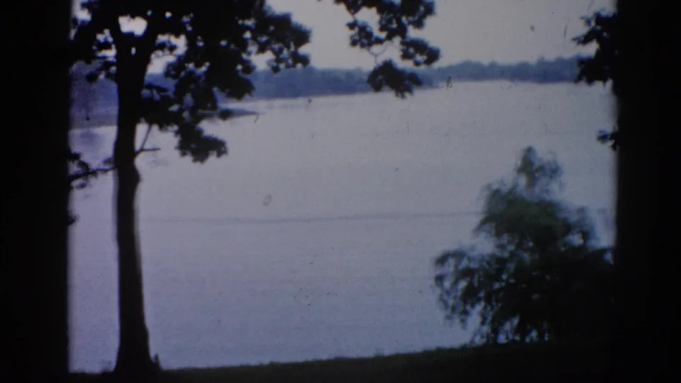 8mm frame from 1962 Illinois showing a wide calm lake with a large tree trunk at left and a drooping tree in midground under a hazy sky.