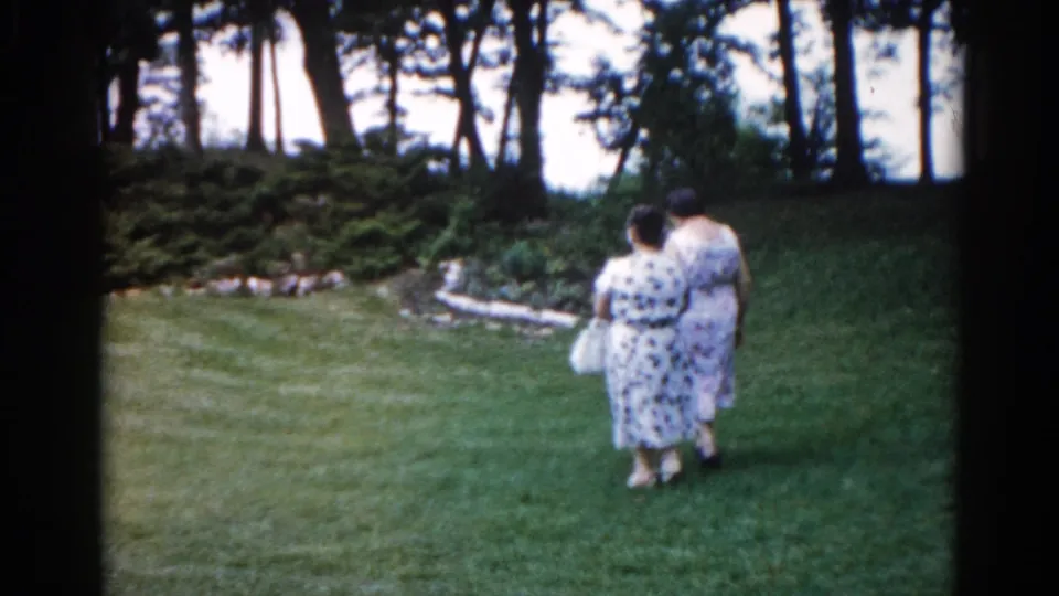 A woman in a 1960s sleeveless patterned dress walks toward a dense tree line across a manicured lawn, shot from behind; recorded as Illinois, 1962.
