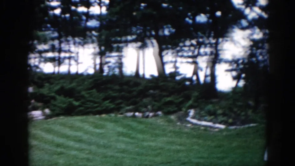 1962 Illinois residential garden on 8mm: open striped lawn, dense trees with sky visible through the canopy, and a small figure at the frame edge.