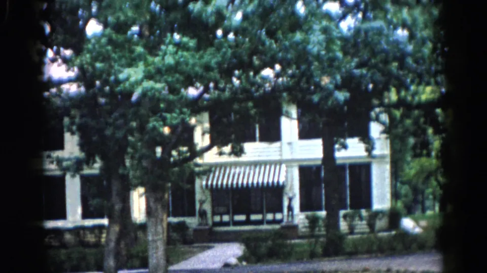 8mm home movie, c. 1962 Illinois — final frame holds on building exterior through tree canopy; overexposure flare spots visible in upper foliage.